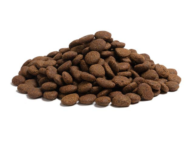 Essential The Beginning Large Breed 10 kg